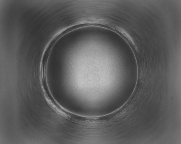 X0000083971080200702232011
