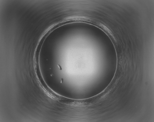X0000083971082200702232011