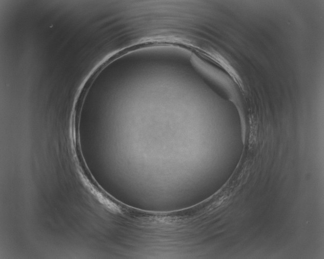 X0000083971084200702232011