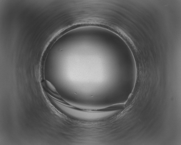 X0000083971085200702232011