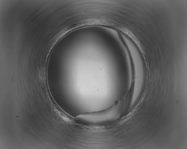 X0000083971089200702232011