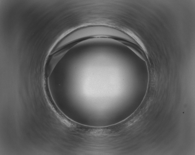X0000083971093200702232011