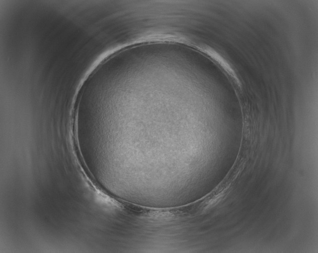 X0000083971094200702232011