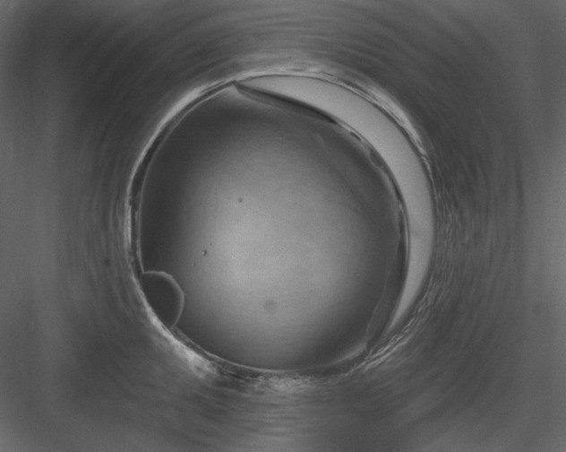 X0000083971095200702232011