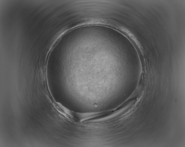 X0000083971097200702232011