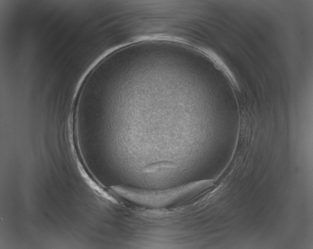 X0000083971100200702232011