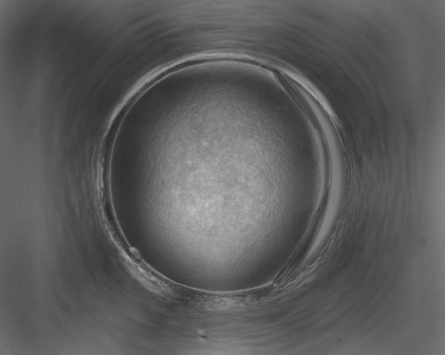 X0000083971101200702232011