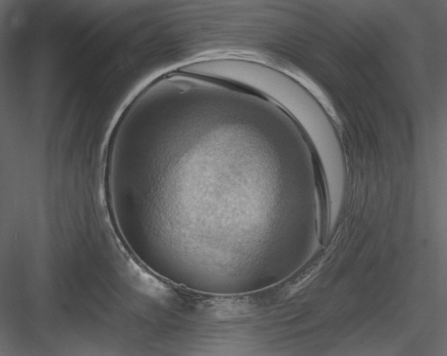 X0000083971102200702232011