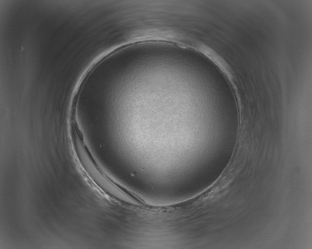 X0000083971104200702232011