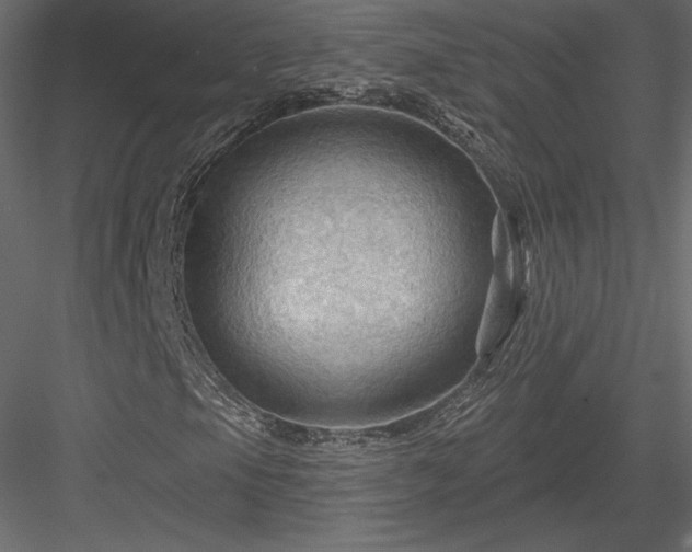 X0000083971105200702232010
