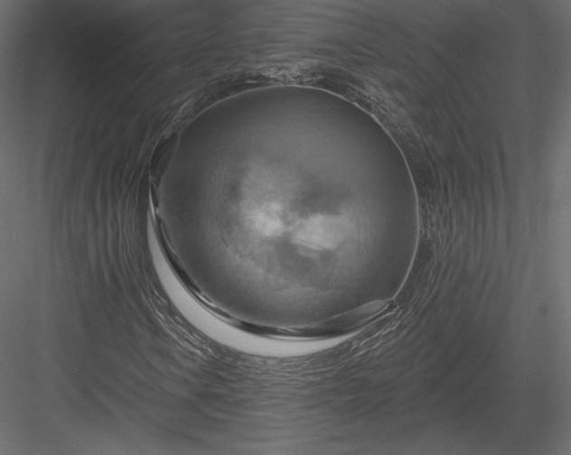 X0000083971106200702232010