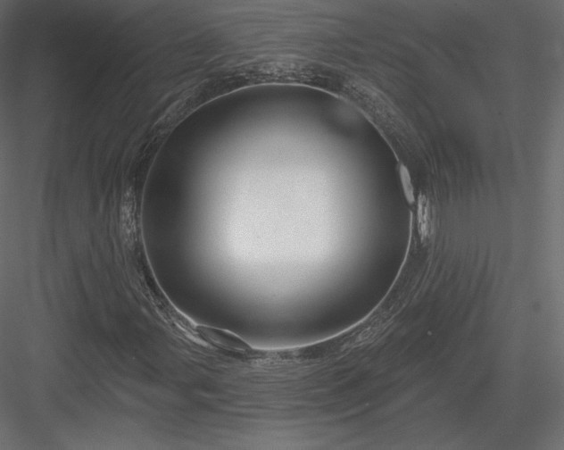 X0000083971107200702232010