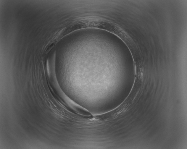X0000083971108200702232010