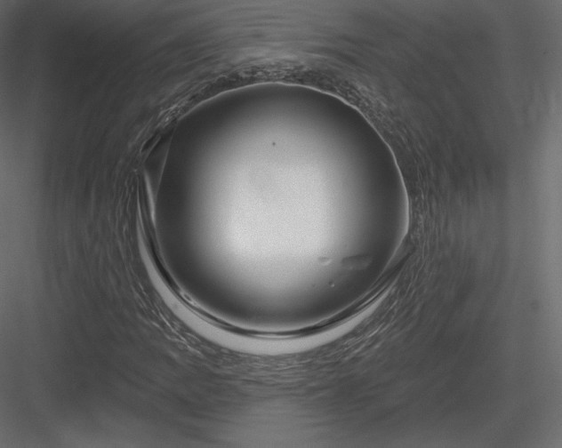 X0000083971109200702232010
