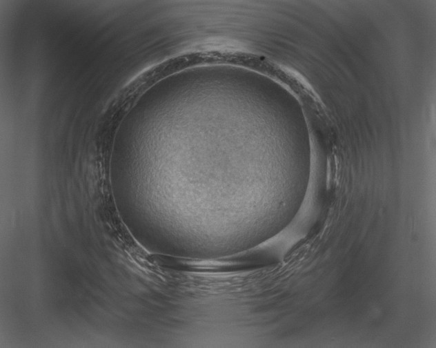 X0000083971112200702232010