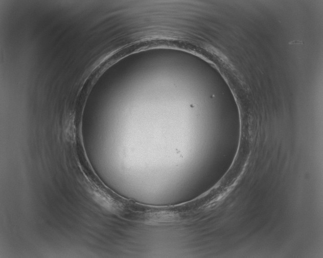 X0000083971113200702232010