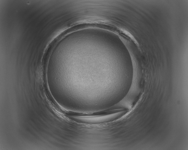 X0000083971114200702232010