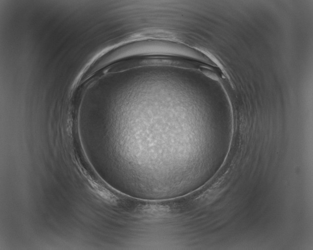 X0000083971115200702232010