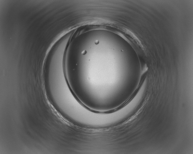 X0000083971122200702232010