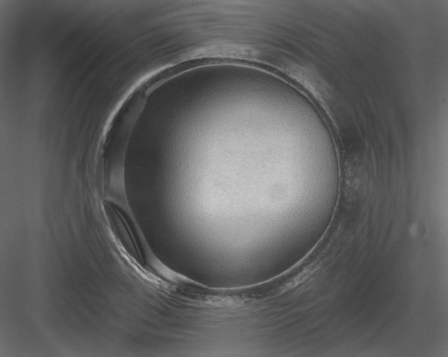 X0000083971123200702232010