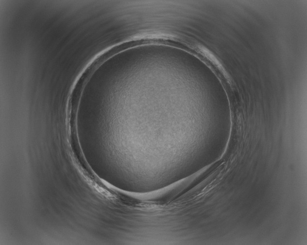 X0000083971124200702232010