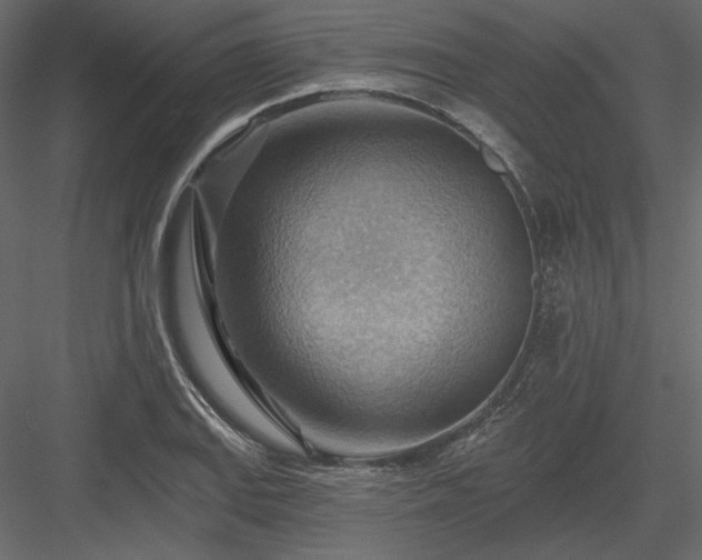 X0000083971127200702232011