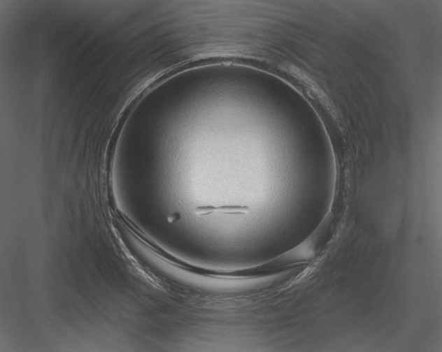 X0000083971129200702232011