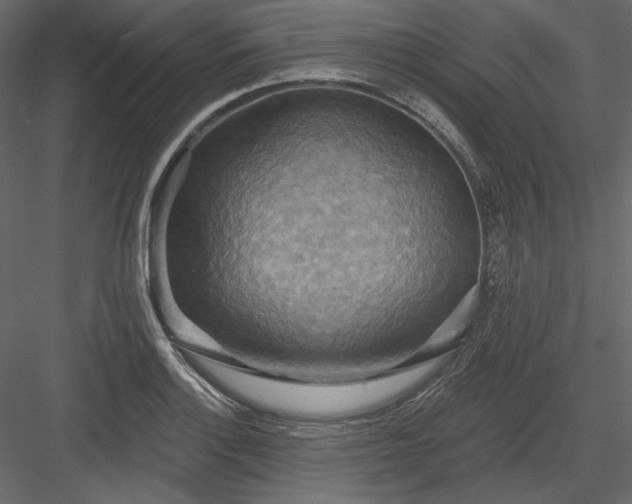 X0000083971132200702232011