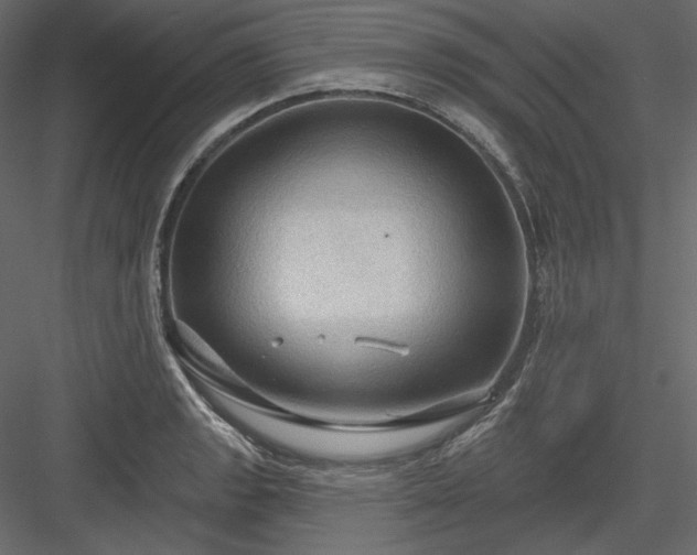 X0000083971133200702232011