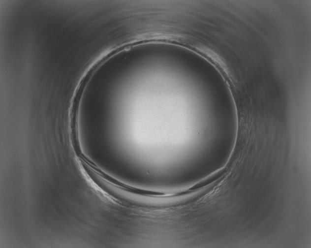 X0000083971135200702232011