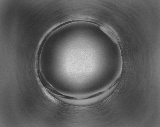 X0000083971136200702232011