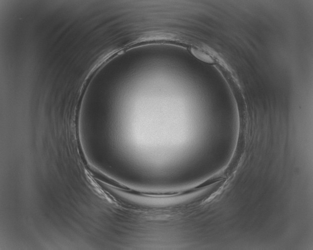 X0000083971137200702232011