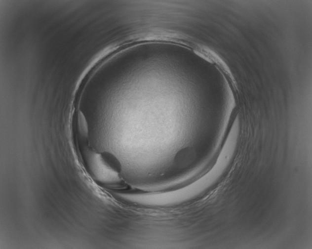 X0000083971138200702232011