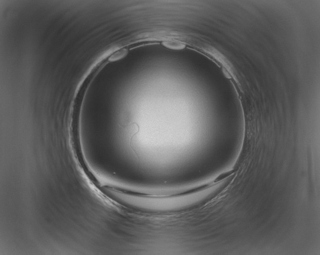 X0000083971139200702232011