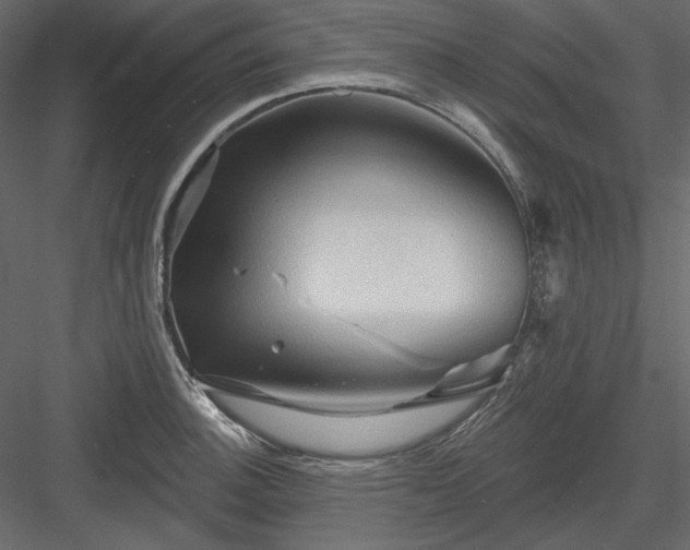 X0000083971140200702232011