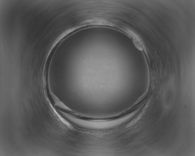 X0000083971141200702232011