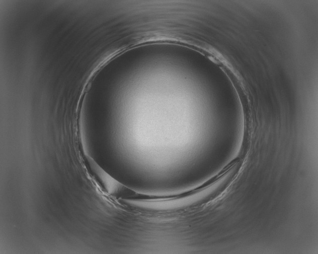 X0000083971145200702232011