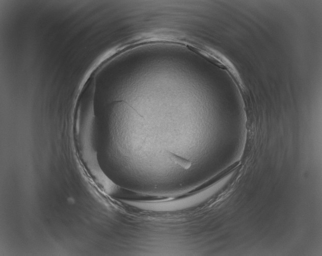 X0000083971146200702232011