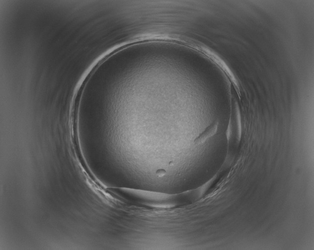 X0000083971148200702232011