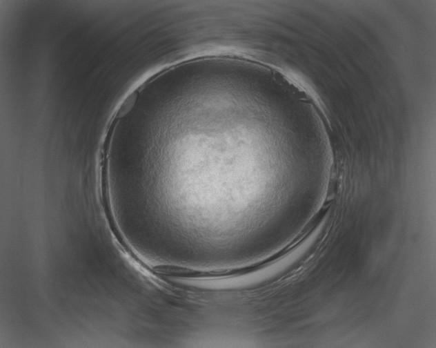 X0000083971151200702232011