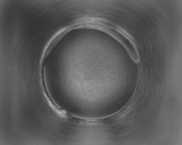X0000083971152200702232011