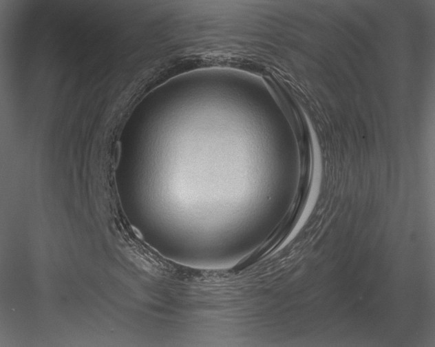 X0000083971153200702232010