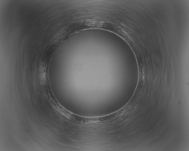 X0000083971154200702232010