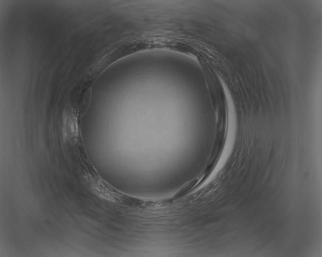 X0000083971155200702232010
