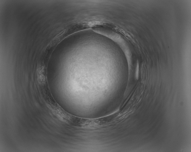 X0000083971156200702232010