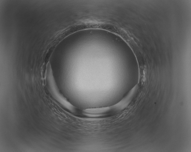 X0000083971157200702232010