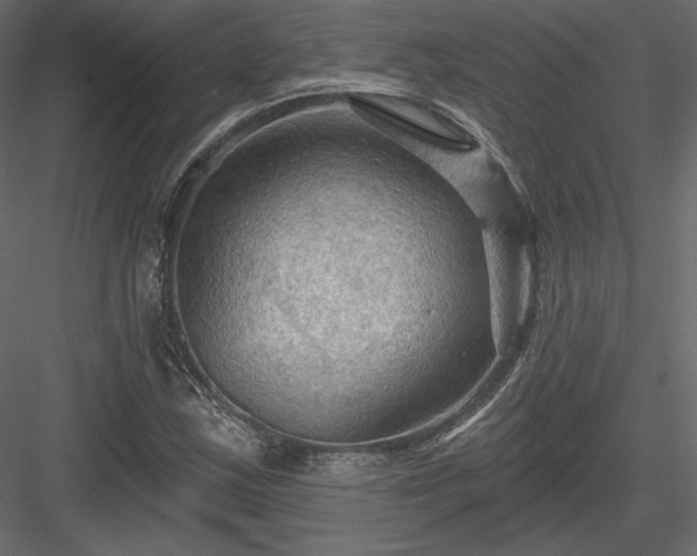 X0000083971163200702232010