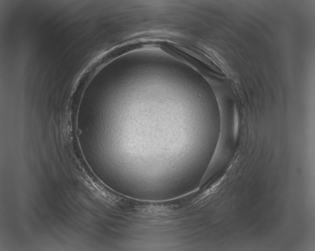 X0000083971164200702232010