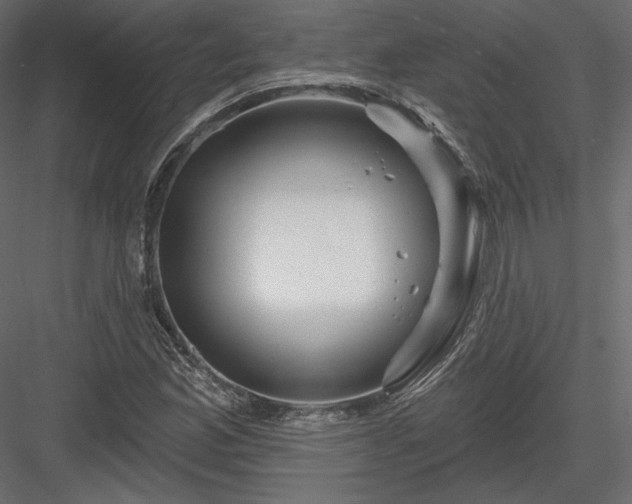 X0000083971165200702232010