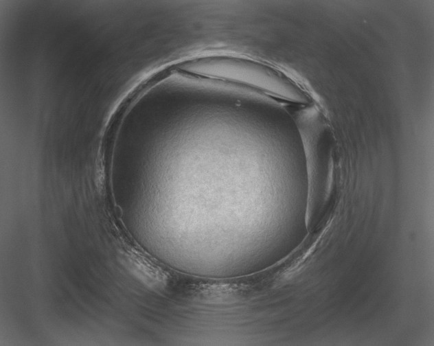 X0000083971167200702232010